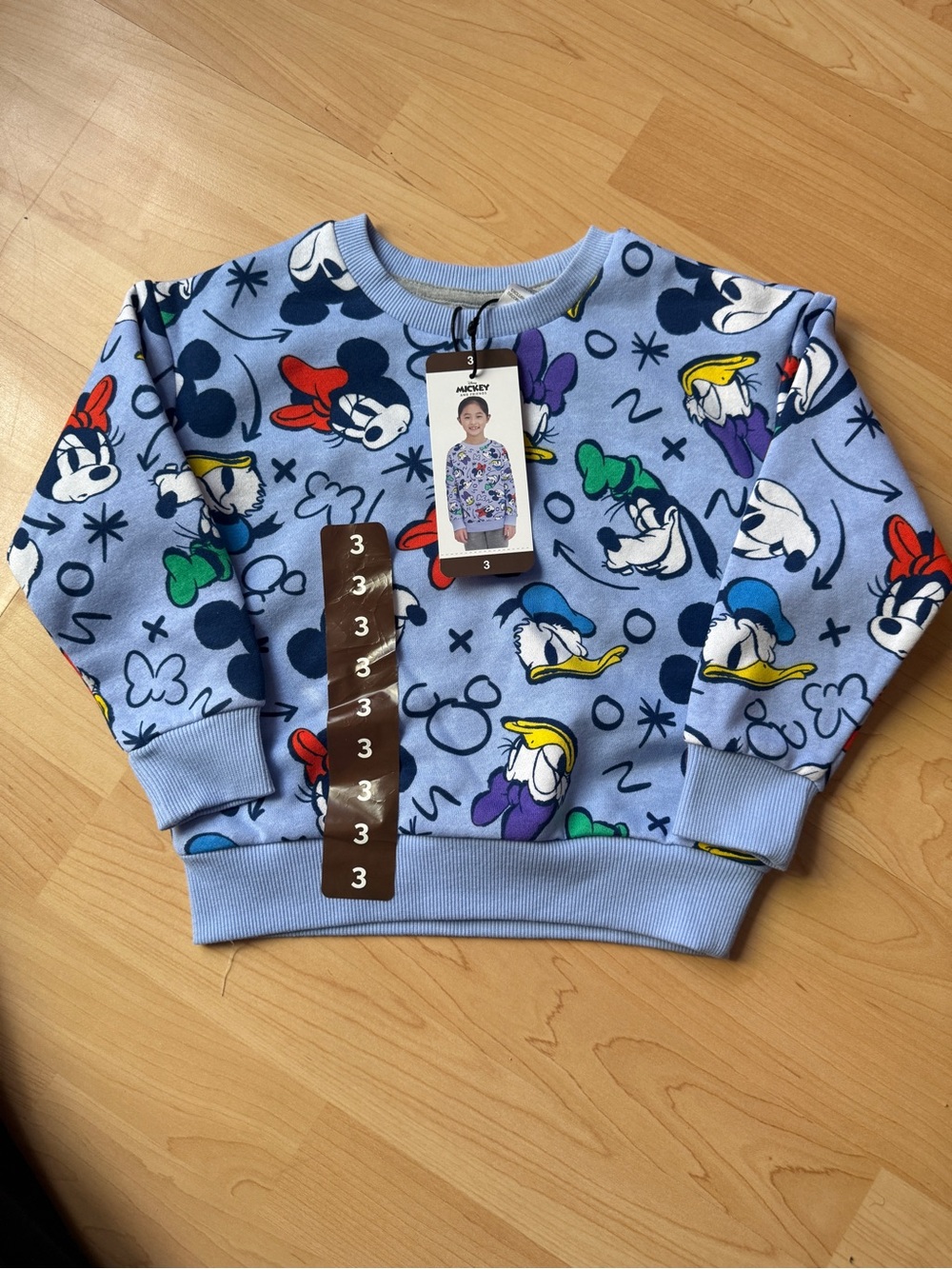 Disney Light Blue Kids Sweatshirt with Multicolor Character Prints